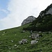 An der Alp Obere Mans verließen wir den Wanderweg und peilten den Einschnitt rechts der Bildmitte an. Pfadspuren waren teilweise ersichtlich