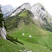 Beim Aufstieg von der Alp Obere Mans