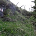 Letztes Stück, dann über die Leiter, und weiter zum Gipfelkreuz des Bösarni.
