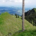 Blick nun zum Bösarni hinüber, mit seinem Gipfelkreuz und -buch