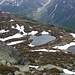zwei Seabl auf dem Rückweg
