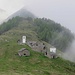 nebbia all'Alpe Cima