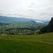 Zürichsee vom Bergli aus gesehen