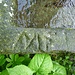 Prasain superiore: vasca in pietra con iscrizioni