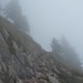 Aufstieg im Nebel