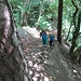 ...und sausteil ging es über einen Sporn abseits der markierten Wanderwege zum Künstberg bergan