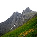 Tschingelturm , Ellstabhorn - einsame Gipfel bei Obersteinberg