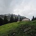 Gasthof Edelweißhütte (1492 m)