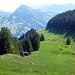 Blick vom Gipfelbänkli zurück auf den Wander- bzw. Alpweg.