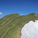 Kurz vor dem Gipfel der Üntschenbspitze (2135 m)