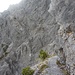 Der Fürstensteig windet sich durch die steile, bröslige Westflanke der Alpspitz
