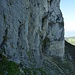 Spuren im westseitigen Schatten. 
