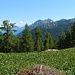 Panoramica Alpe e rifugio di Luarn Q1656 
