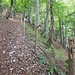 Der ViehtriebPfad in der NagelfluhSchlucht