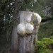 NaturKunst am Samstenberg