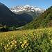 Artenvielfalt