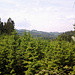 endlose Wälder Blick hinüber nach Hinterholz, ja genau das Hinterholz aus dem Film - ein in Österreich ein bekannter Film - Hinterholz 8 - der hier gedreht wurde