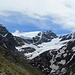 Toller Blick zum oberen Teil des Gepatschferners, der mit 18 km² die größte zusammenhängende Gletscherfläche Österreichs aufweist [http://de.wikipedia.org/wiki/Gepatschferner Quelle Wikipedia]. Darunter befindet sich der schrumpfende Langtauferer Ferner