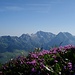 Im Abstieg vom Brisi - der Alpstein noch unter klarem Himmel.