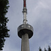 Der Sendeturm auf dem Ueliberg.
