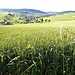 Blick in einen wunderschönen Teil des Aargauer Juraparks: das obere Mettauertal.