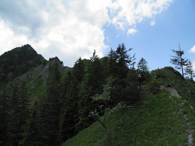 am ausgesetzten Grat - Fotos [hikr.org]