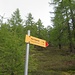 Markierter Querungsweg bei Alpe Dentro