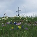 Gipfelkreuz mit Blumen / croce di vetta von fiori