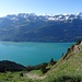 ... auf der Ällgäuwlicka - und ein herrliches Panorama ...