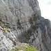 Wo führt dieses Weglein wohl hin? In´s Paradies?
