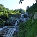 Roccia-Acqua-Bosco.