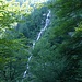Roccia-Acqua-Bosco.