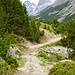 Die Wege im Val Mora sind von der Alpbewirtschaftung geprägt