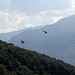 Ein Heli fliegt Tannenbäume von Mornera ins Tal hinunter