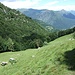 Alpe di Cima