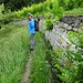 Schöner Start mit Reben, Trockensteinmauern und Obstgarten