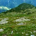 Terrazza dell'Alpe di Chiera