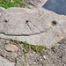 Tra le pietre che bordano la mulattiera nell'abitato di Ronchi si trova una lastra con tre coppelle collegate da un canaletto.