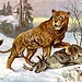 <b>Leone delle caverne (Panthera leo spelaea).<br />Siamo a meno di un chilometro dalla famosa Grotta dell’Orso; cavità naturale in cui sono stati trovati resti di orso delle caverne (Ursus spelaeus), di leone delle caverne (Panthera leo spelaea), di lupi, nonché quattro piccole selci (diaspro rosso e bruno rossastro), che testimoniano la frequentazione sia pur saltuariamente persino dell’Uomo di Neandertal, a partire da 60'000 anni fa fino a 40'000 anni fa. Possiamo così ritrovare qui tracce di quella specie umana che ha preceduto la nostra in Europa, prima che l'Homo sapiens, dotato di tecnologie superiori, ne favorisse l'estinzione.</b>
