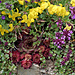 Blumen-Potpourri an einer Mauer