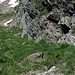 Der steile, westseitige Abstieg von der Bocchetta del Prévat. Das Fixseil leistet gute Dienste, denn das Steilgrat ist kaum gestuft.
