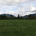 Im [http://f.hikr.org/files/1778432.jpg Kochelfilz] mit Blick nach Oberammergau