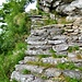 Wie alt sind wohl diese Treppen nach Arnau ? Fünfhundert Jahre oder mehr ?