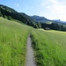 Ein schöner Panoramawanderweg oberhalb Oberiberg führt uns zurück.