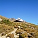 Die Alp Languard mit Piz Languard