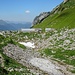 Die Alp Grueb mit Ziegen und Kühen