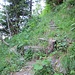 Steil steigt der Pfad zur Alp Fläschen auf.