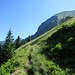 Nicht mehr weit bis zur Alphütte.