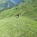 Über den NW-Rücken des Lauiberg steigen wir zum Gipfel auf.