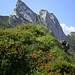 Alpenrosenhang kurz vor dem Mutschensattel und Gätterifirst, rechts Wildhauser Gulmen